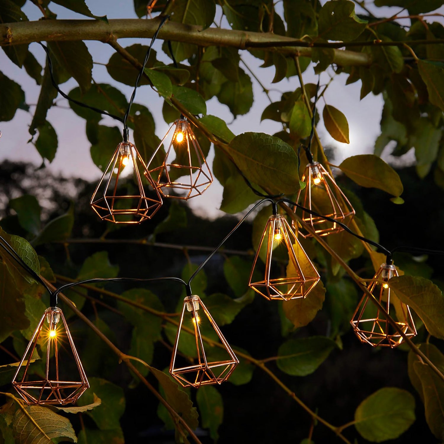 Solar fairy lights shop homebase