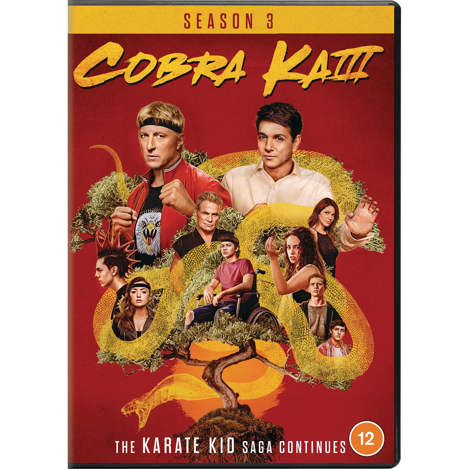 Cobra Kai - Seasons 03