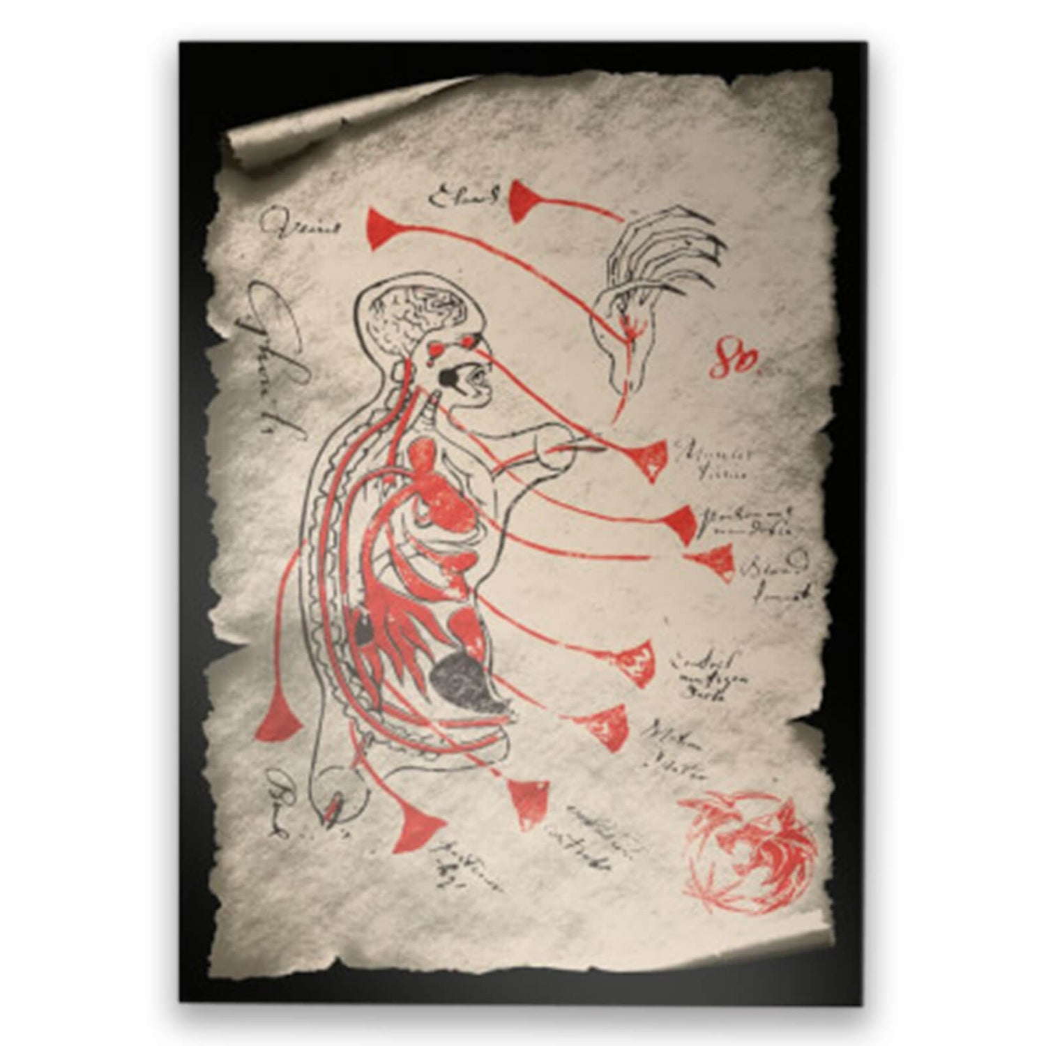 Lámina de arte Sketched Giclee de The Witcher