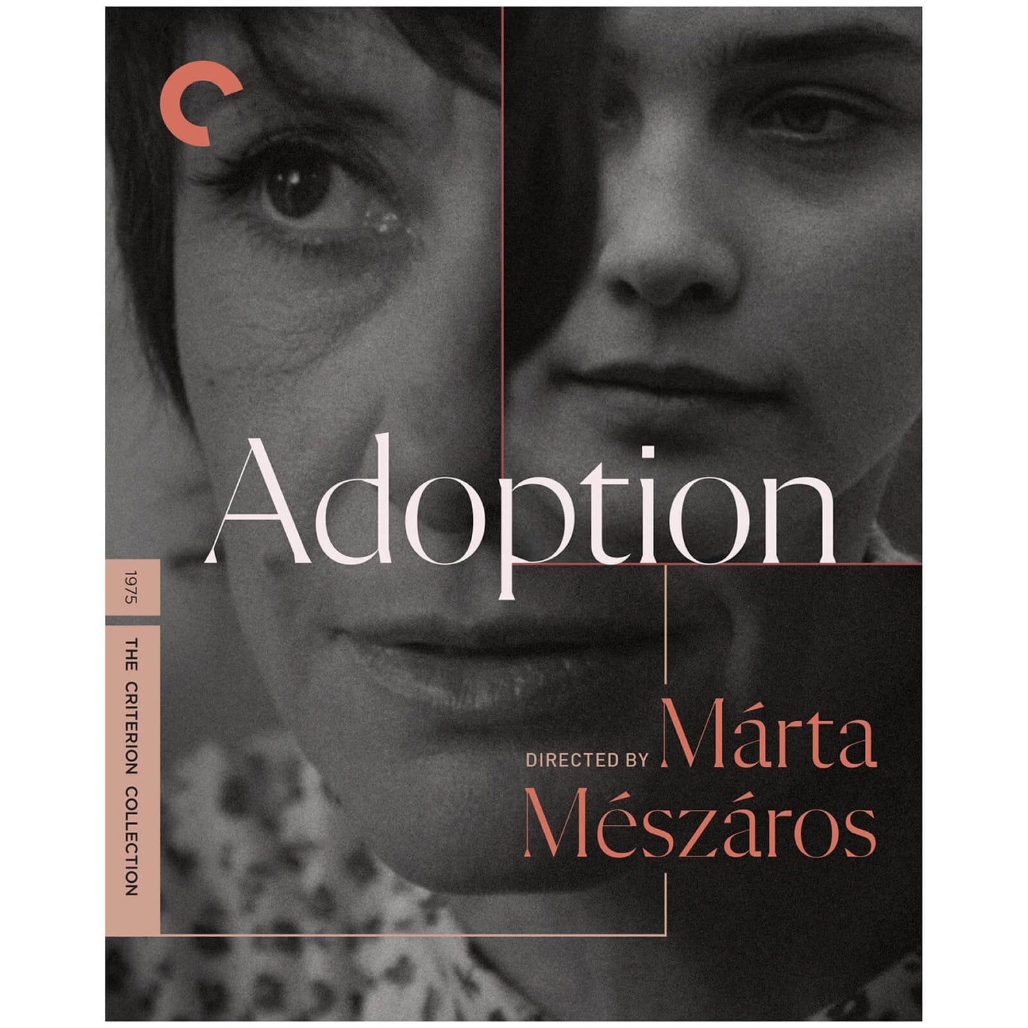 Adoption - The Criterion Collection (US Import)
