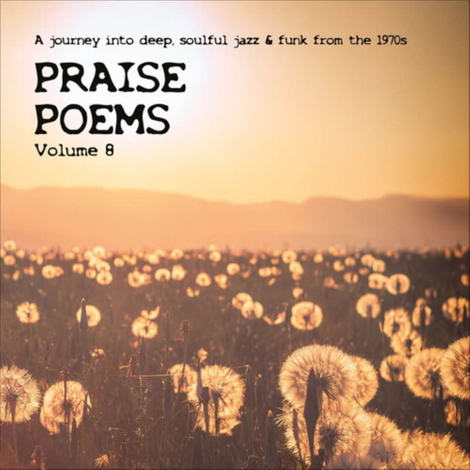 Various Artists - Praise Poems Vol. 8 Vinyl 2LP