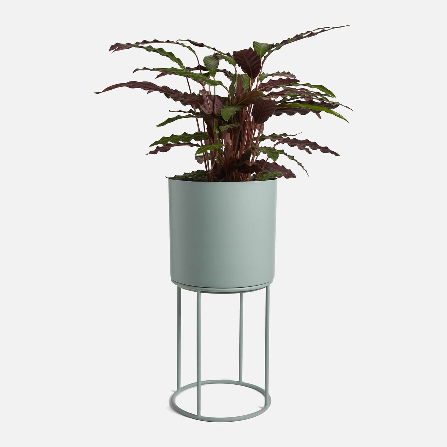 ïn home Blossom Planter With Stand - Sage Green