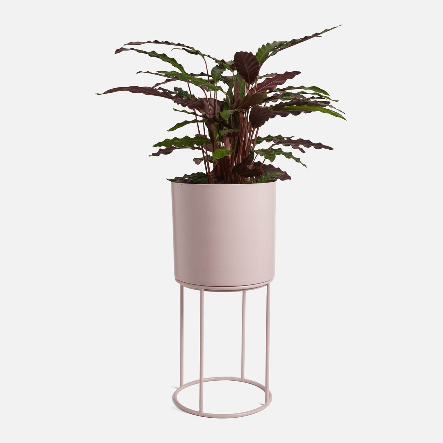 ïn home Blossom Planter With Stand - Rose Pink