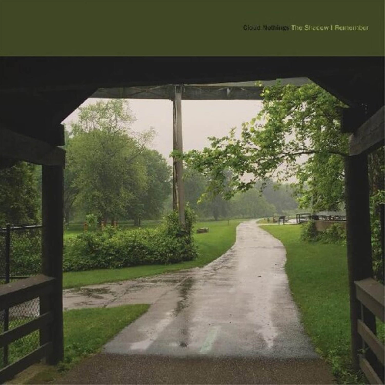 Cloud Nothings - The Shadow I Remember Vinyl (Forest Green)