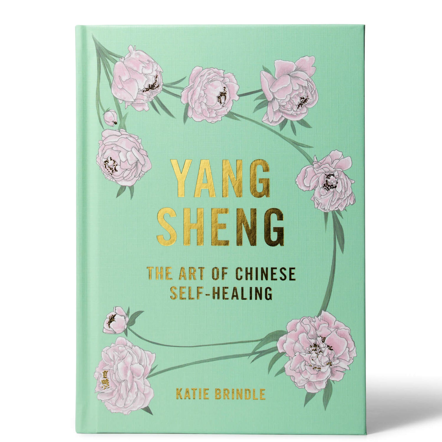 Hayo'u Yang Sheng - The Art of Chinese Self Healing book