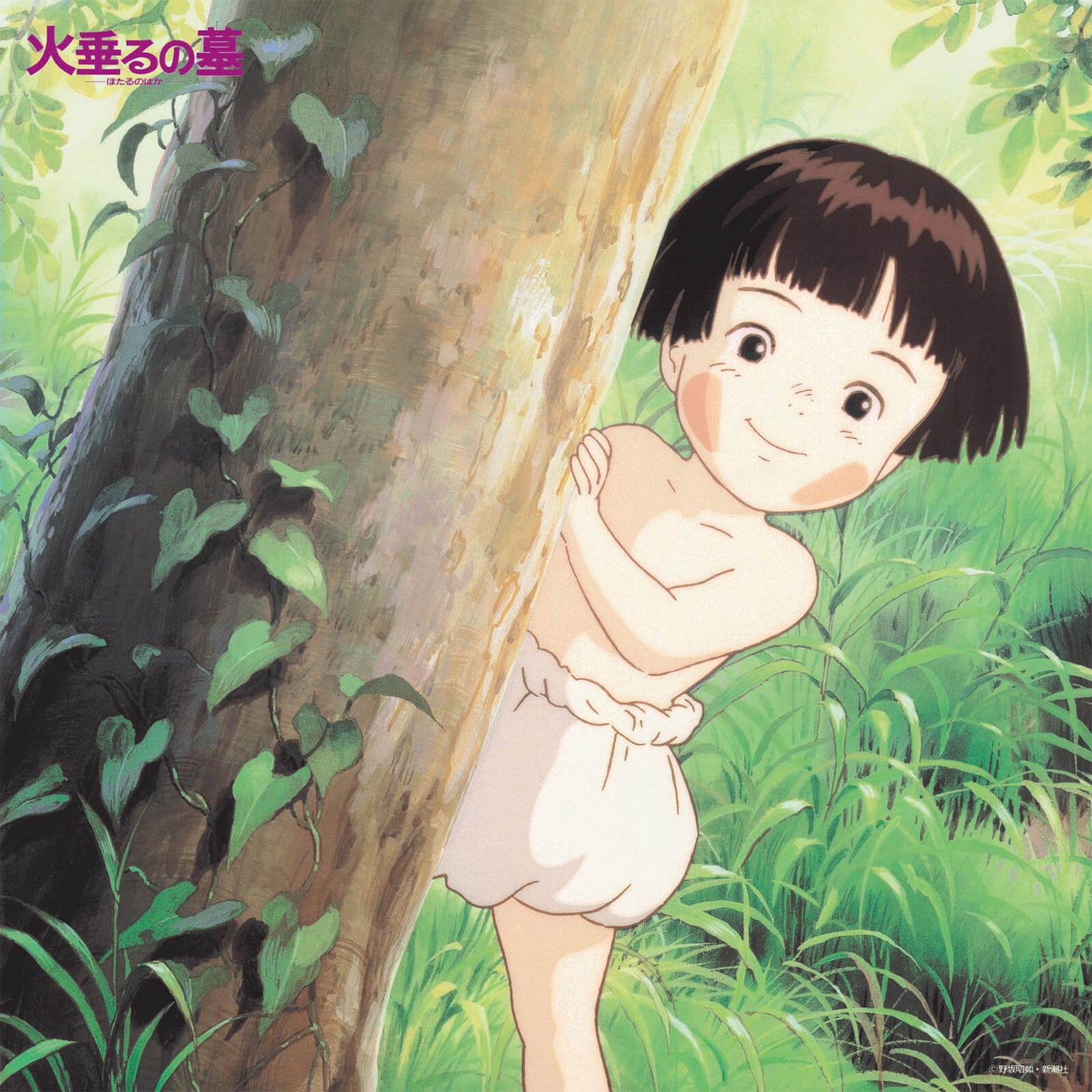 Studio Ghibli Original Soundtrack Grave of the Fireflies Soundtrack Collection Vinyl