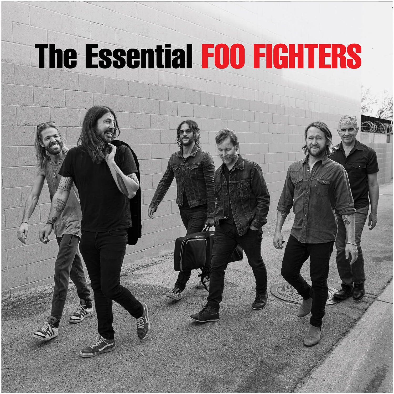Foo Fighters - The Essential Foo Fighters Vinyl 2LP