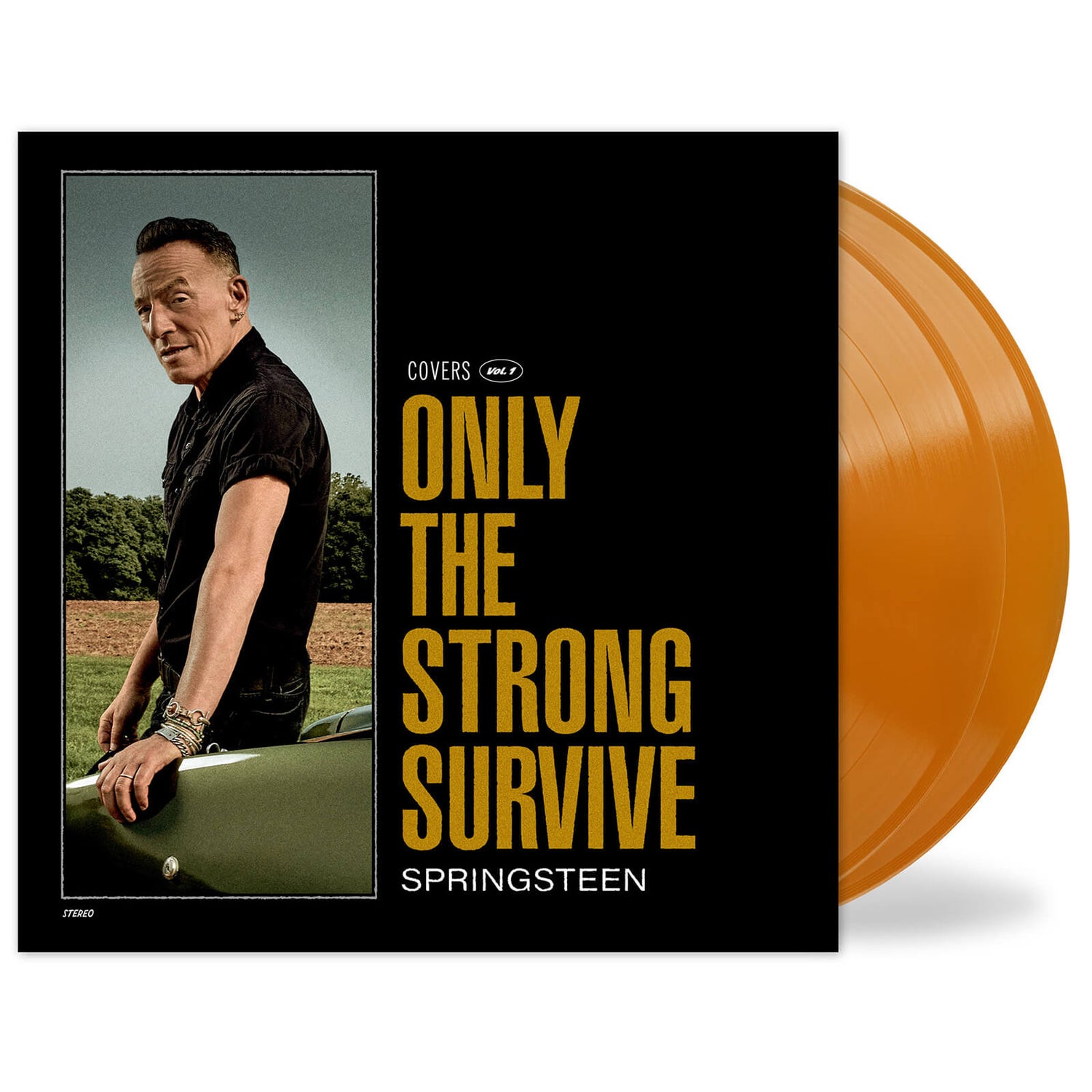 Bruce Springsteen - Only The Strong Survive Limited Edition Orange Vinyl 2LP