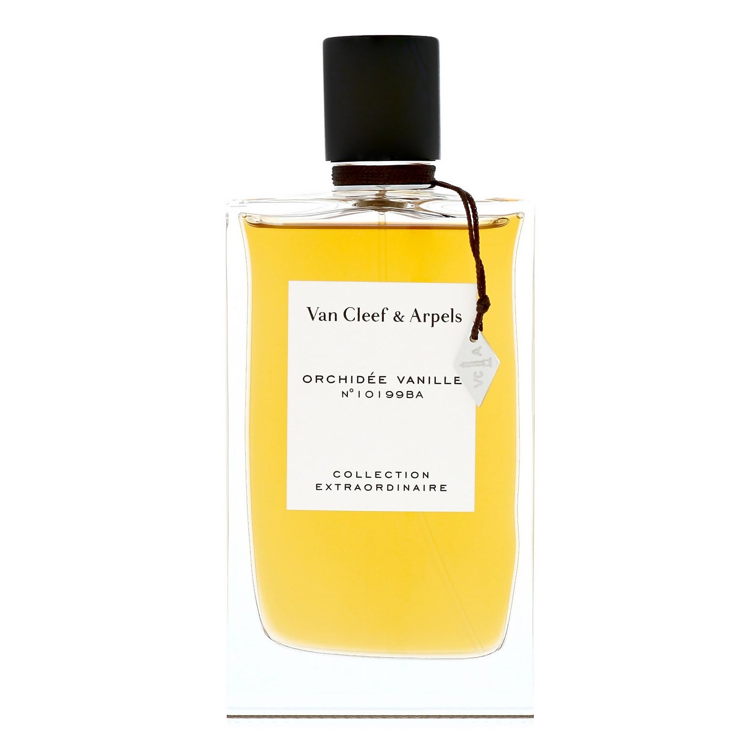Orchidee vanille deals