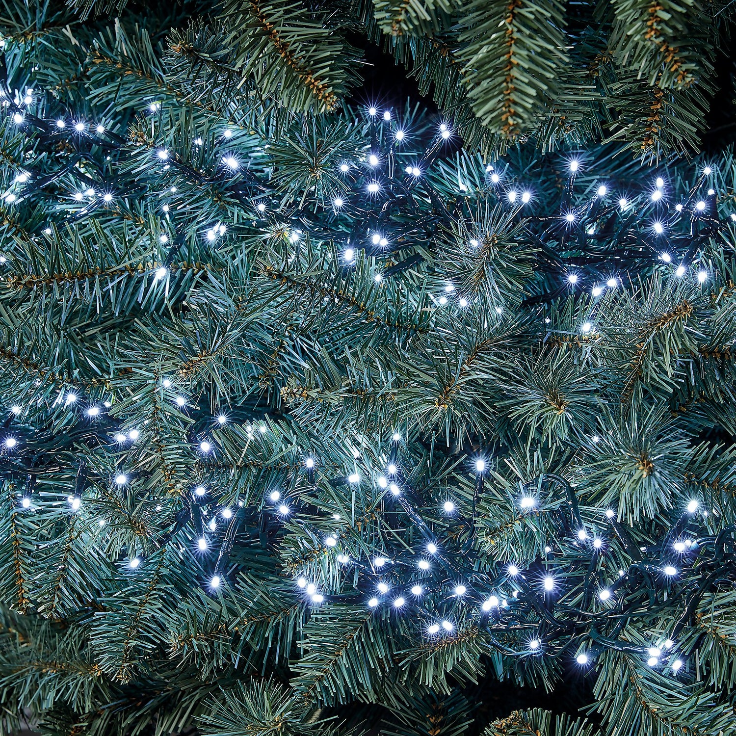 Homebase christmas hot sale tree lights