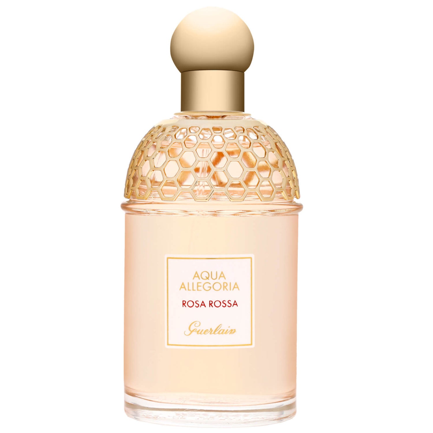 GUERLAIN アクアアレゴリア ROSA ROSSA 125ml 香水 Amazon.com : Guerlain Aqua Allegoria Rosa Rossa for Unisex