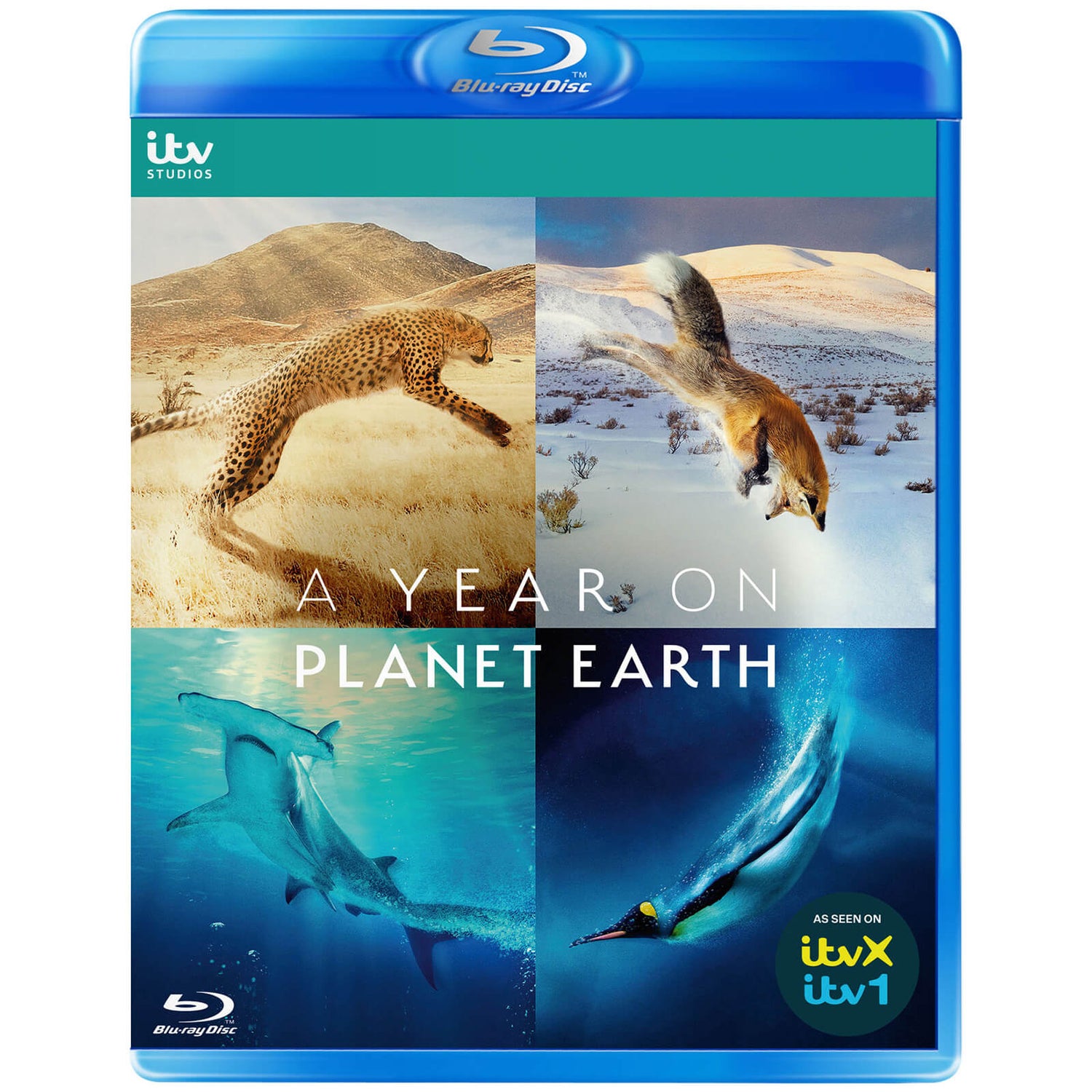 A Year on Planet Earth
