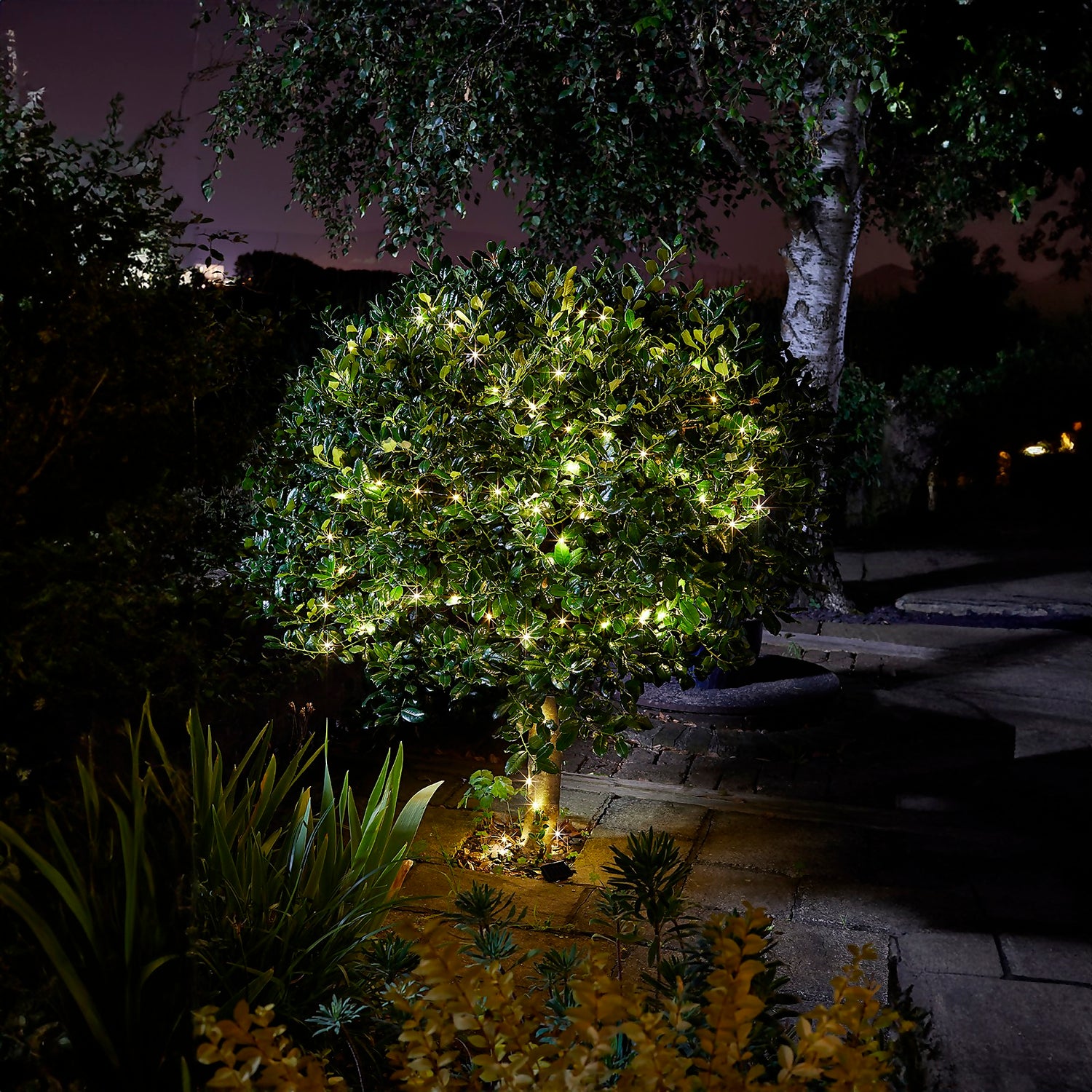 Homebase outdoor fairy lights discount