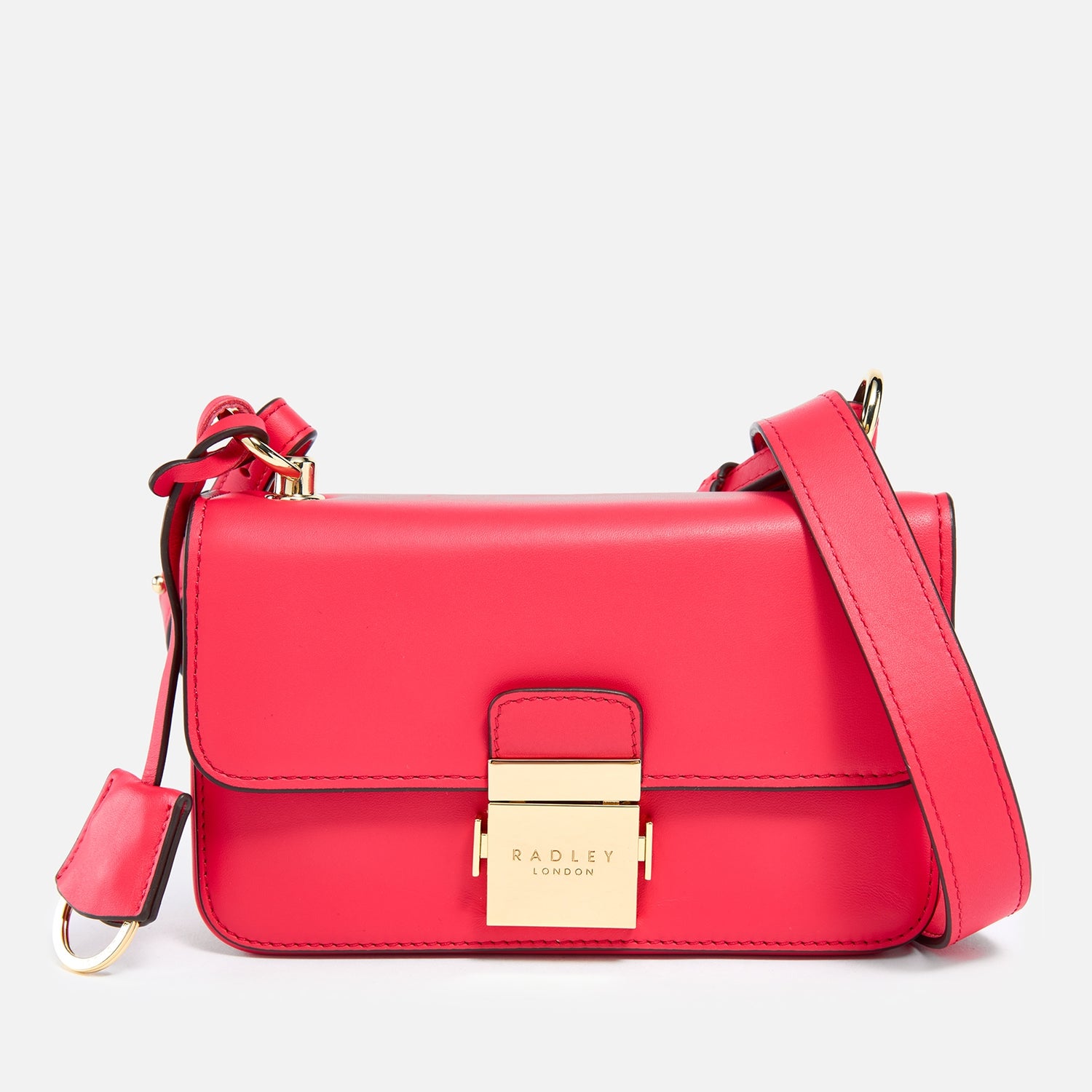 Radley Hanley Close Leather Mini Crossbody Bag TheHut