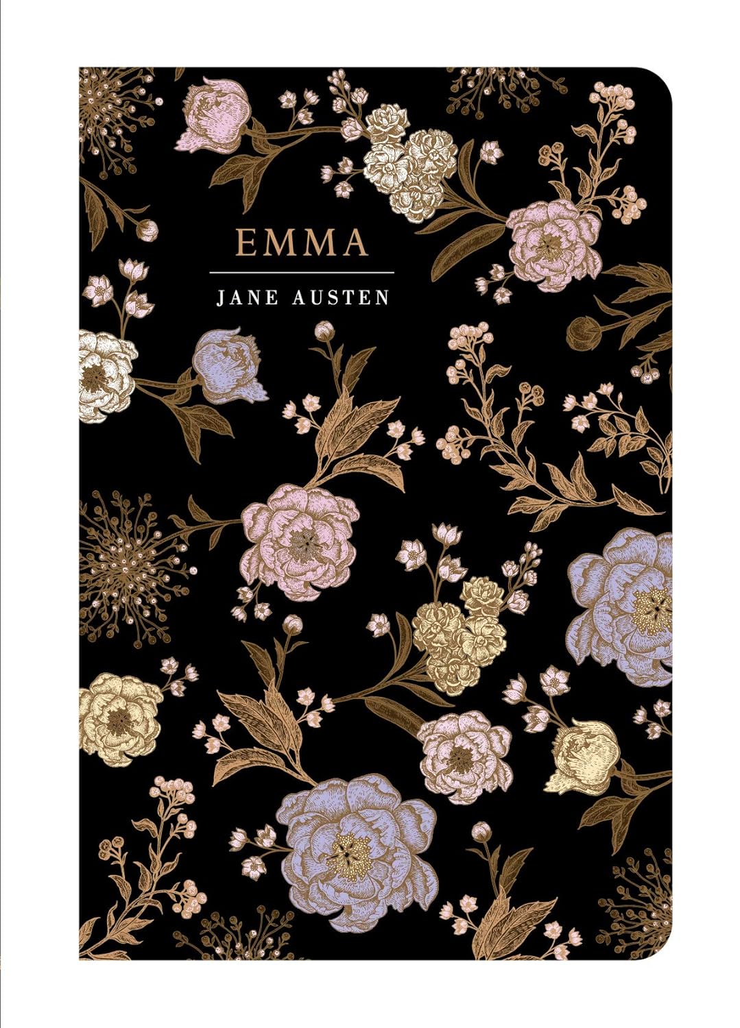 Chiltern Classics: Emma - Jane Austen
