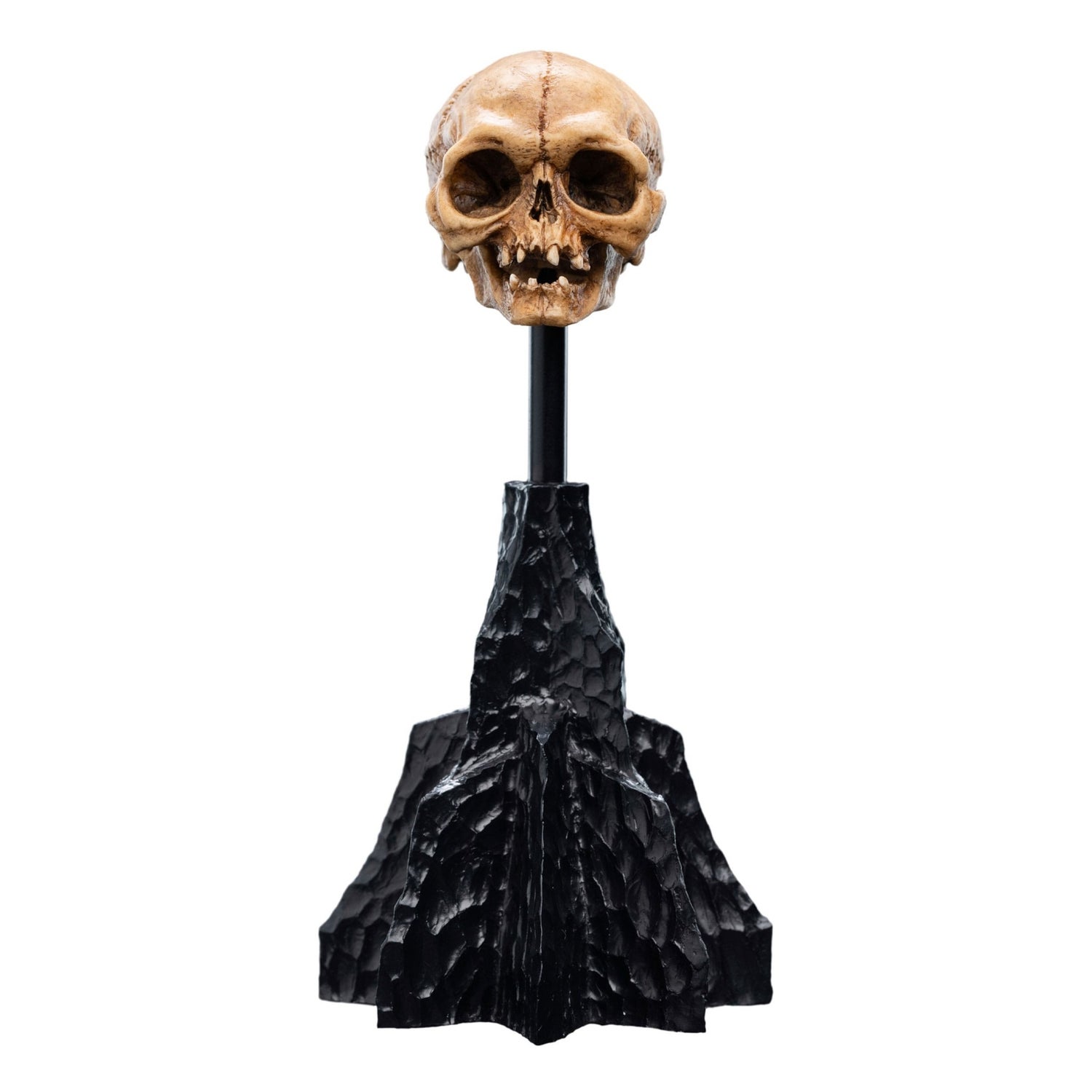 Weta Workshop Lord of the Rings Mini Statue Skull of Gollum 13cm
