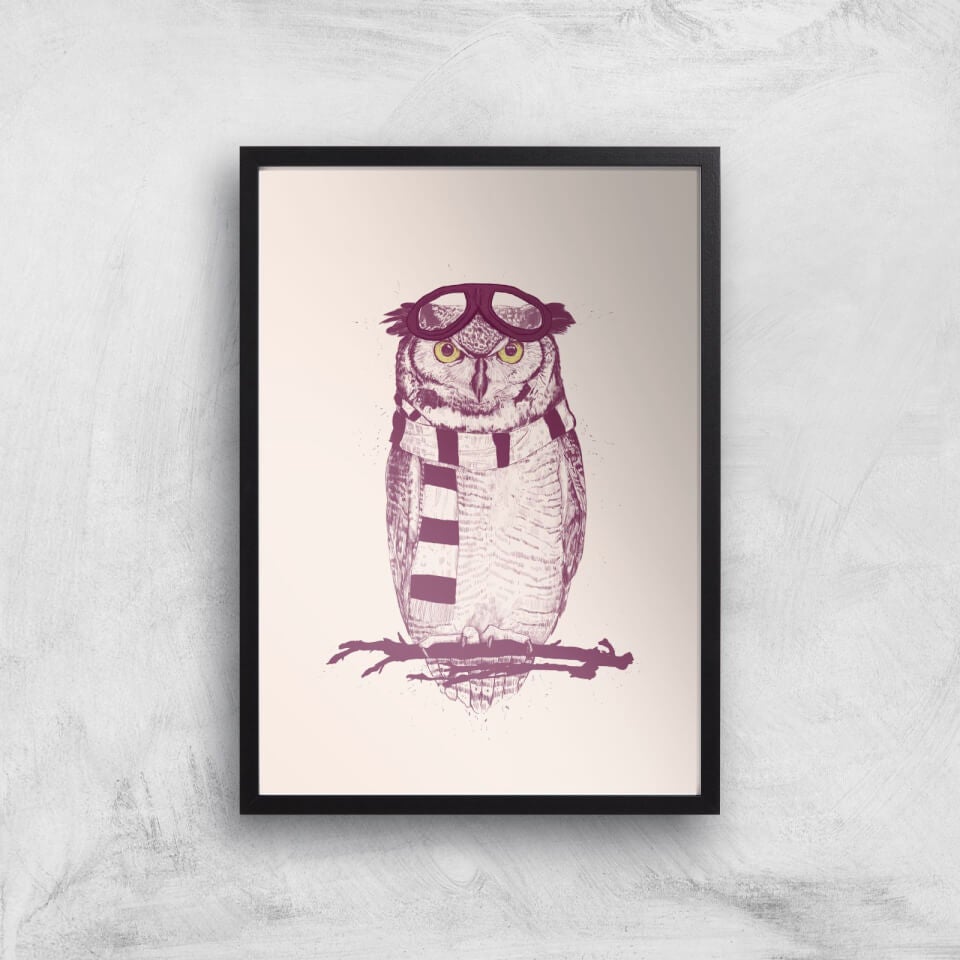 Balazs Solti Winter Owl Art Print