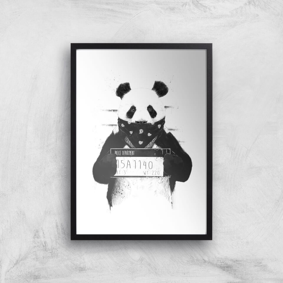 Balazs Solti Bandana Panda Art Print