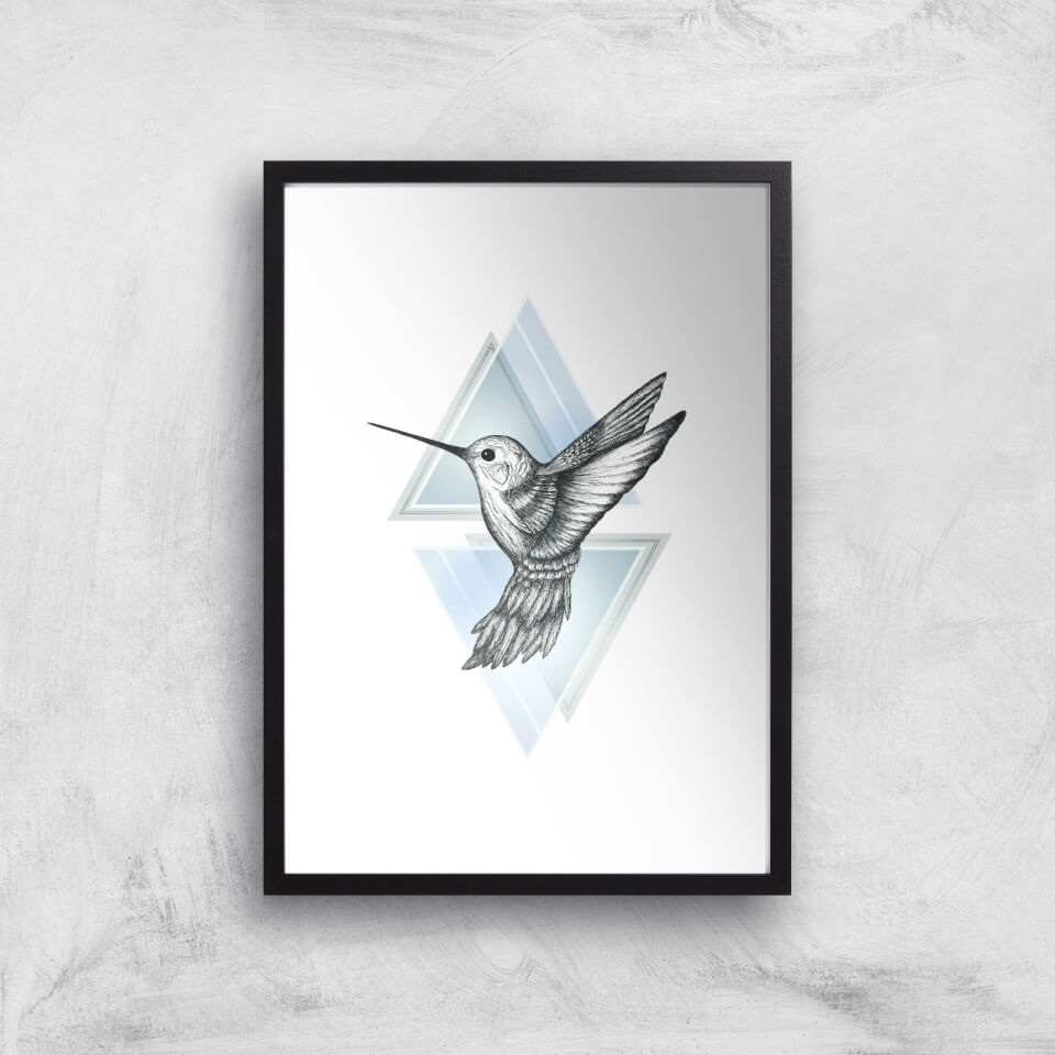 Hummingbird Art Print