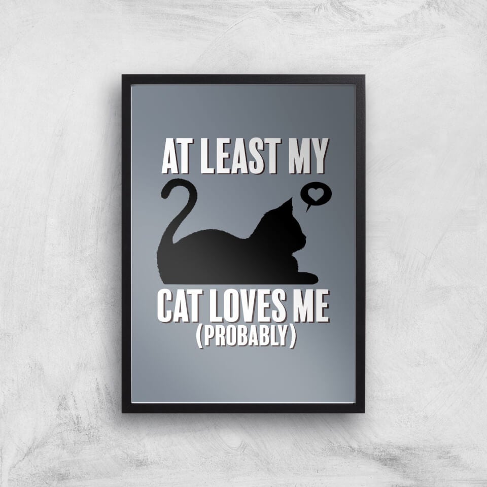 At Least My Cat Loves Me Art Print