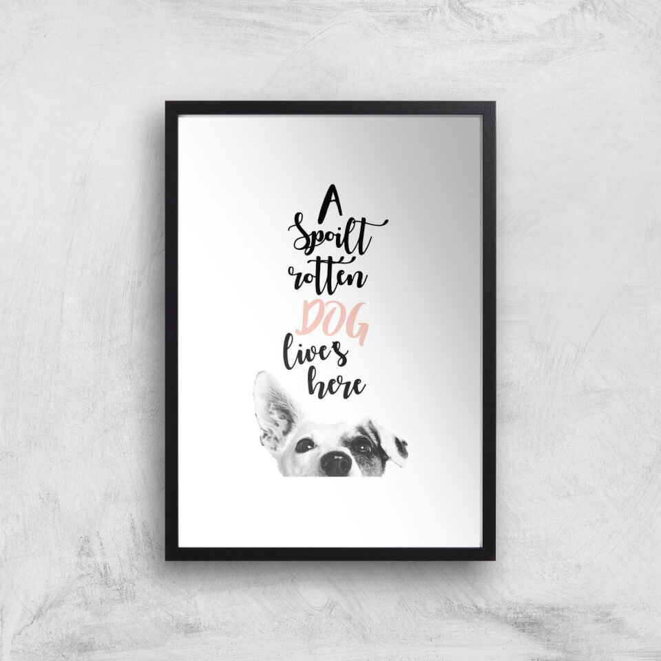 A Spoilt Rotten Dog Lives Here Jack Russell Art Print