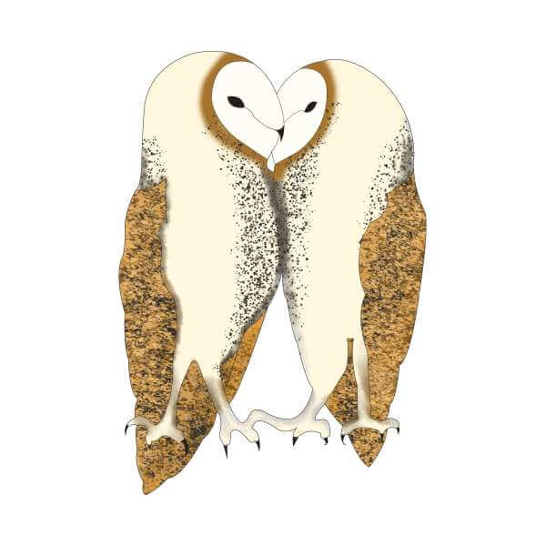 Nuzzling Barn Owls Women's Sweatshirt - White 0