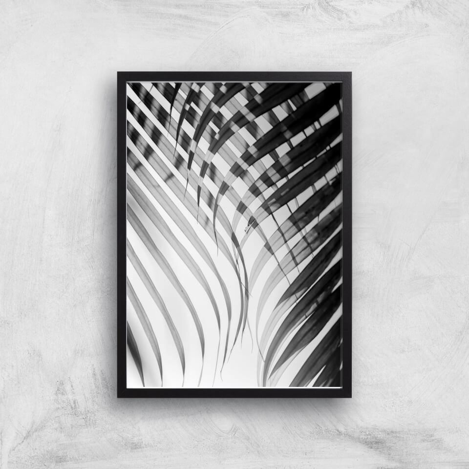 Tropical Curtain Giclee Art Print