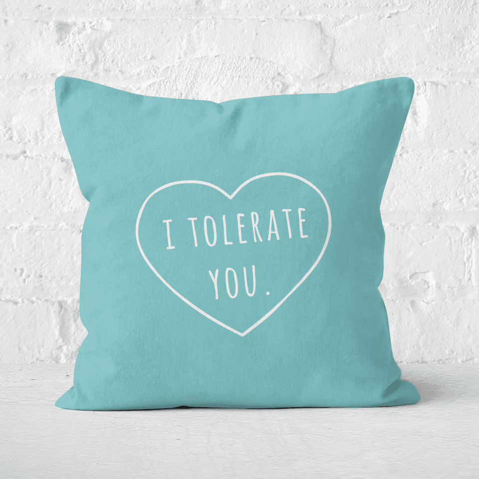 I Tolerate You Square Cushion