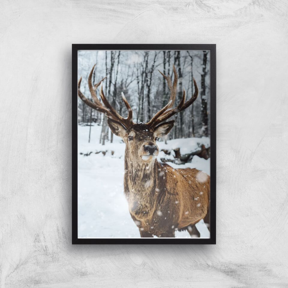 Reindeer Giclee Art Print