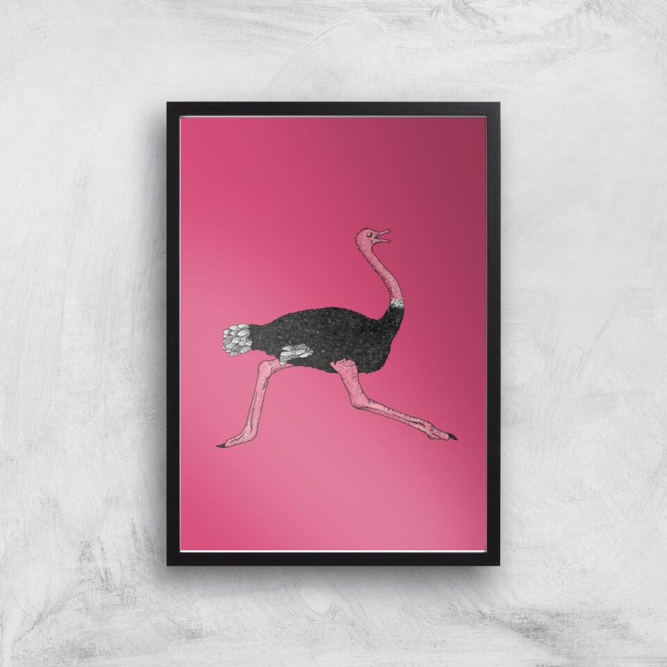 Ostrich Giclee Art Print