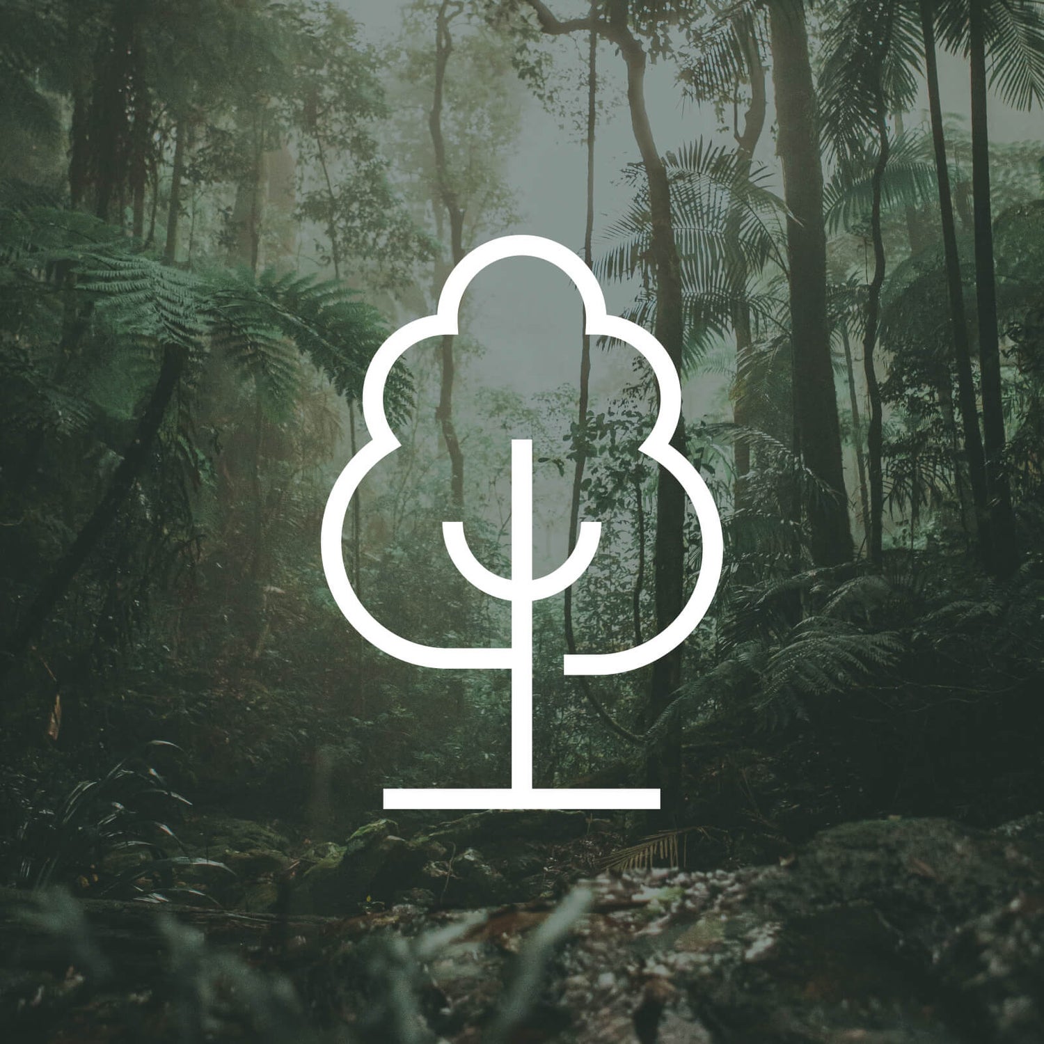 HPE Activewear More:Trees