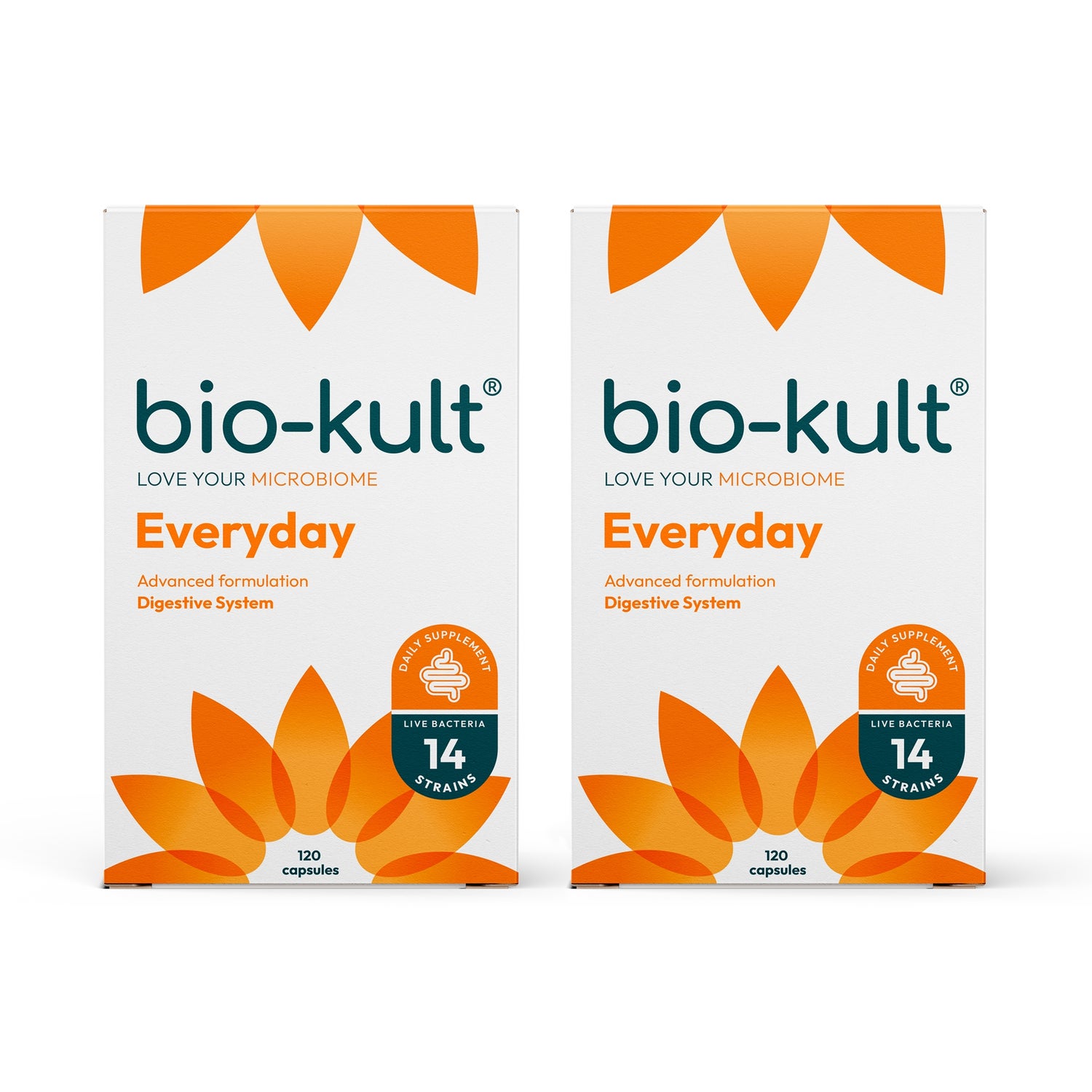 Bio-Kult Everyday Gut 120 Capsules 2 Pack