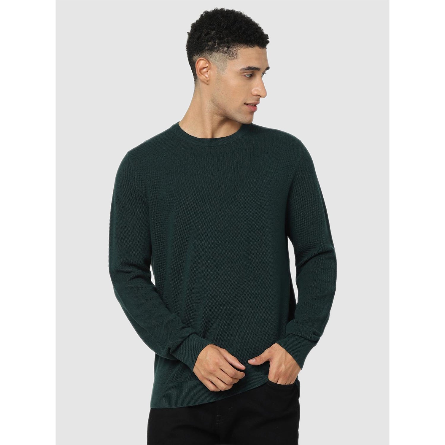 Green Solid Regular Fit Pullover Sweater (CEPICIN)