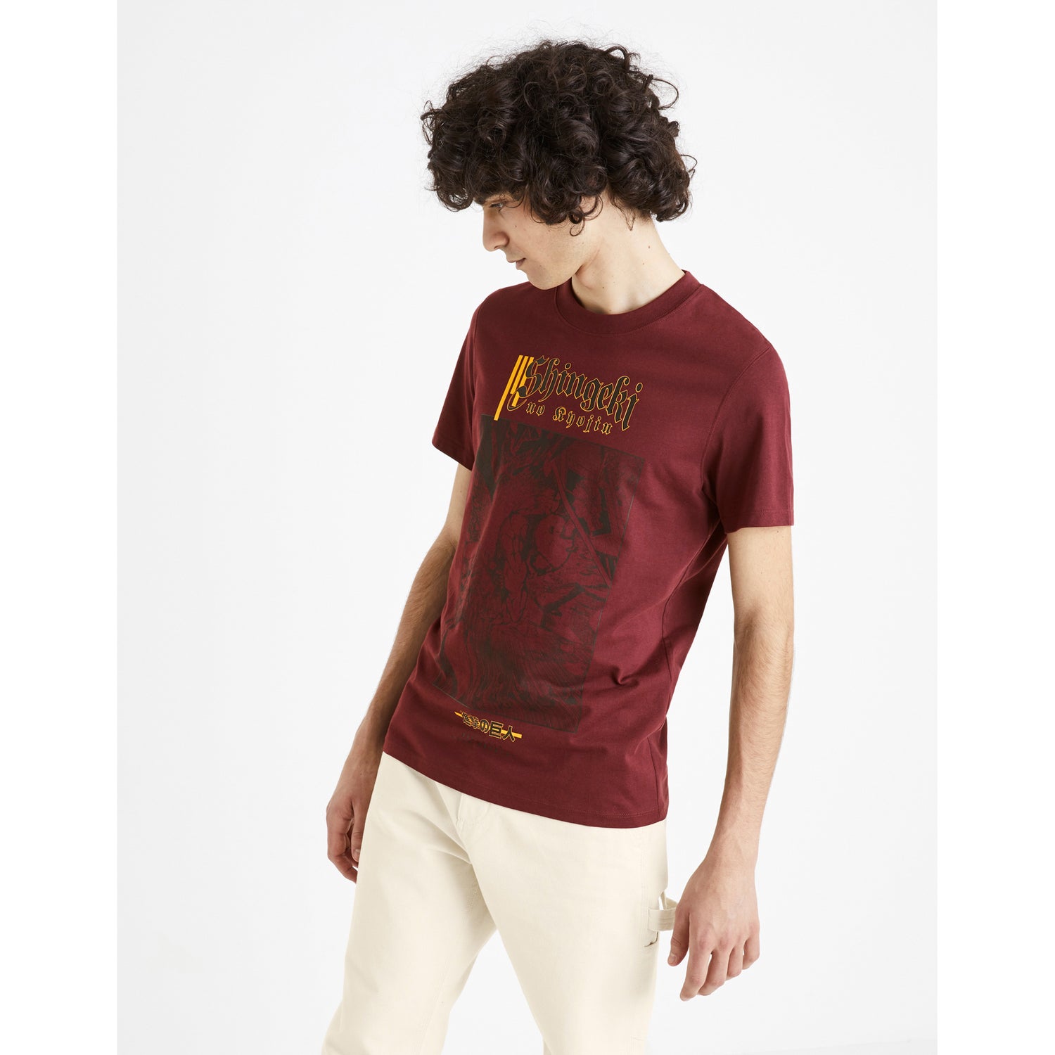 Attack on Titan - Burgundy Printed Tshirt (LCEAOT)