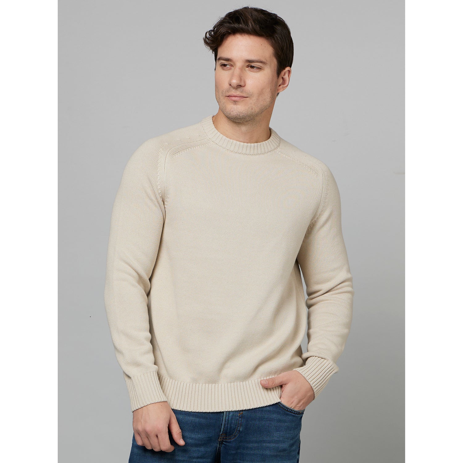 Light Beige Round Neck Long Sleeve Cotton Pullover Sweater (FEBASICIN)