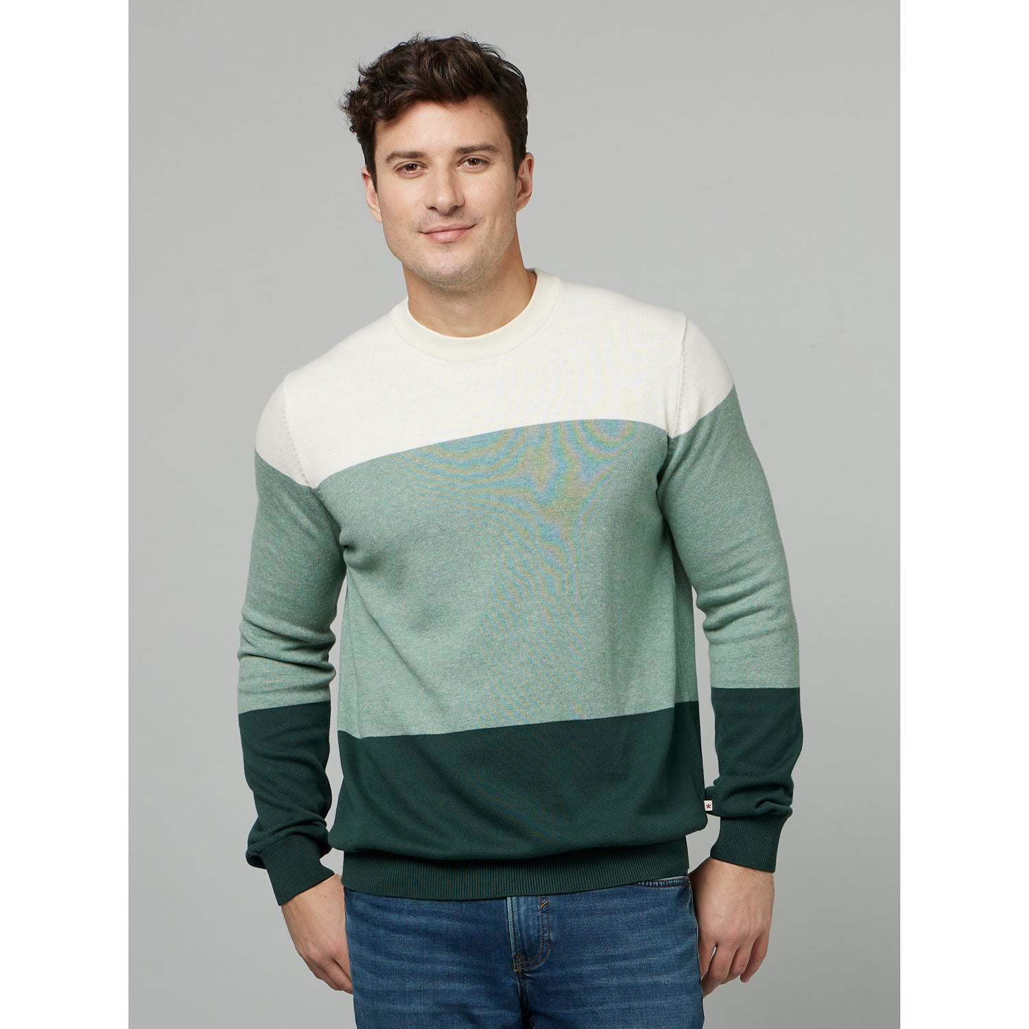 Dark Green Colourblocked Long Sleeves Pullover Sweatshirt (FERAIN)