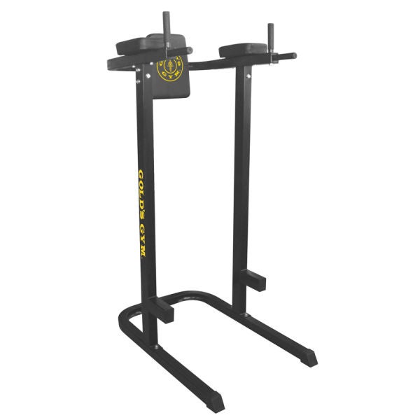 Gold's gym dip sale station