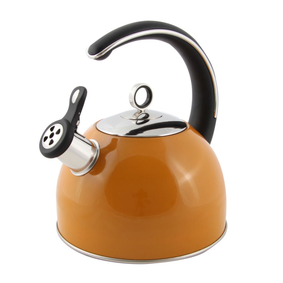 Morphy richards kettle orange hot sale