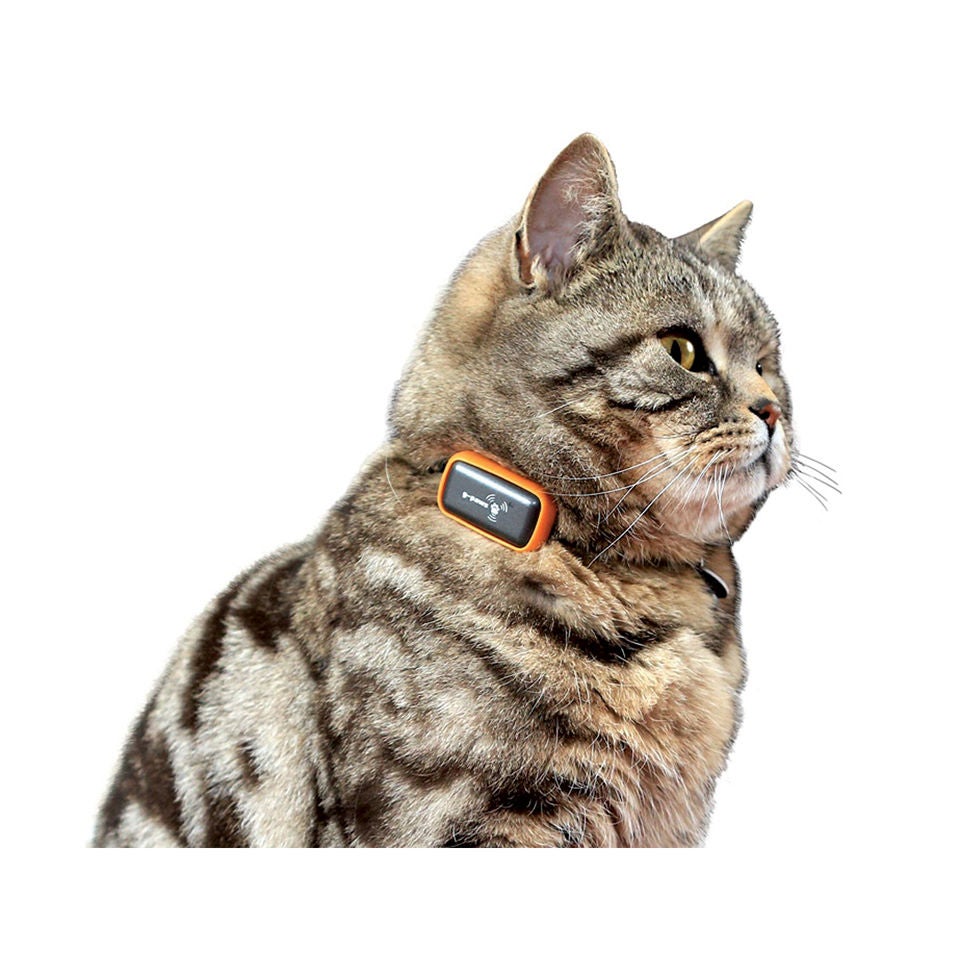 G Paws Pet GPS Tracker System Black