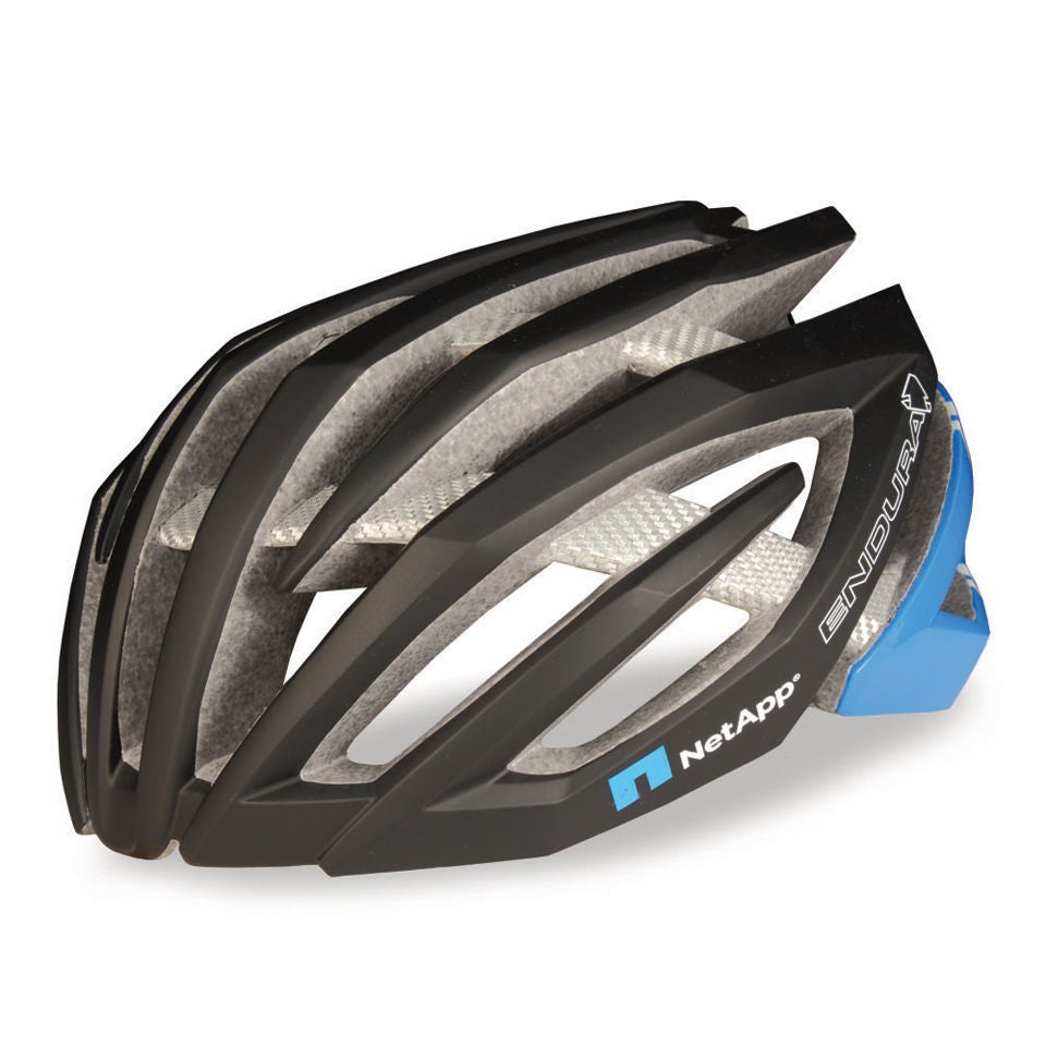 team netapp endura