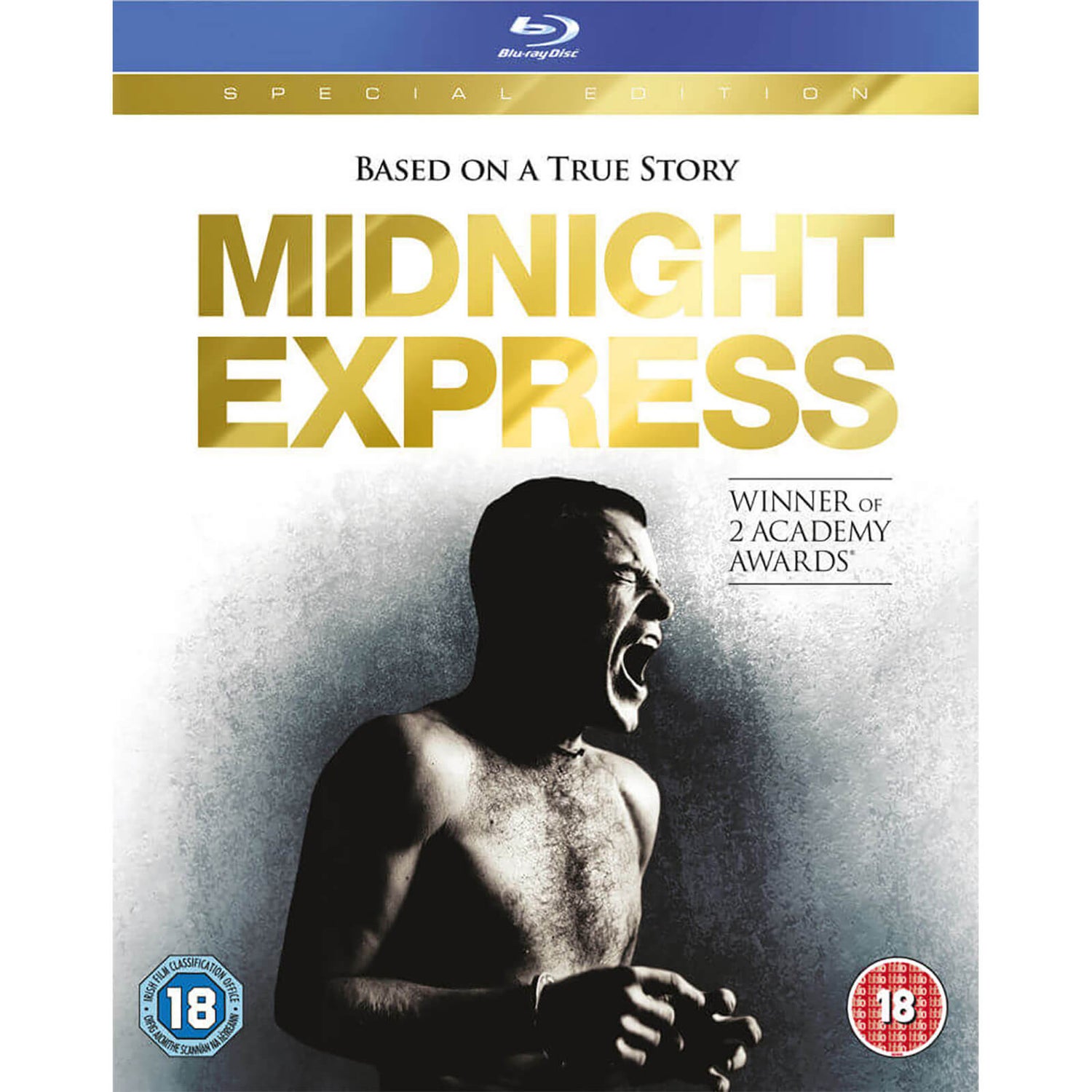 Midnight Express Poster