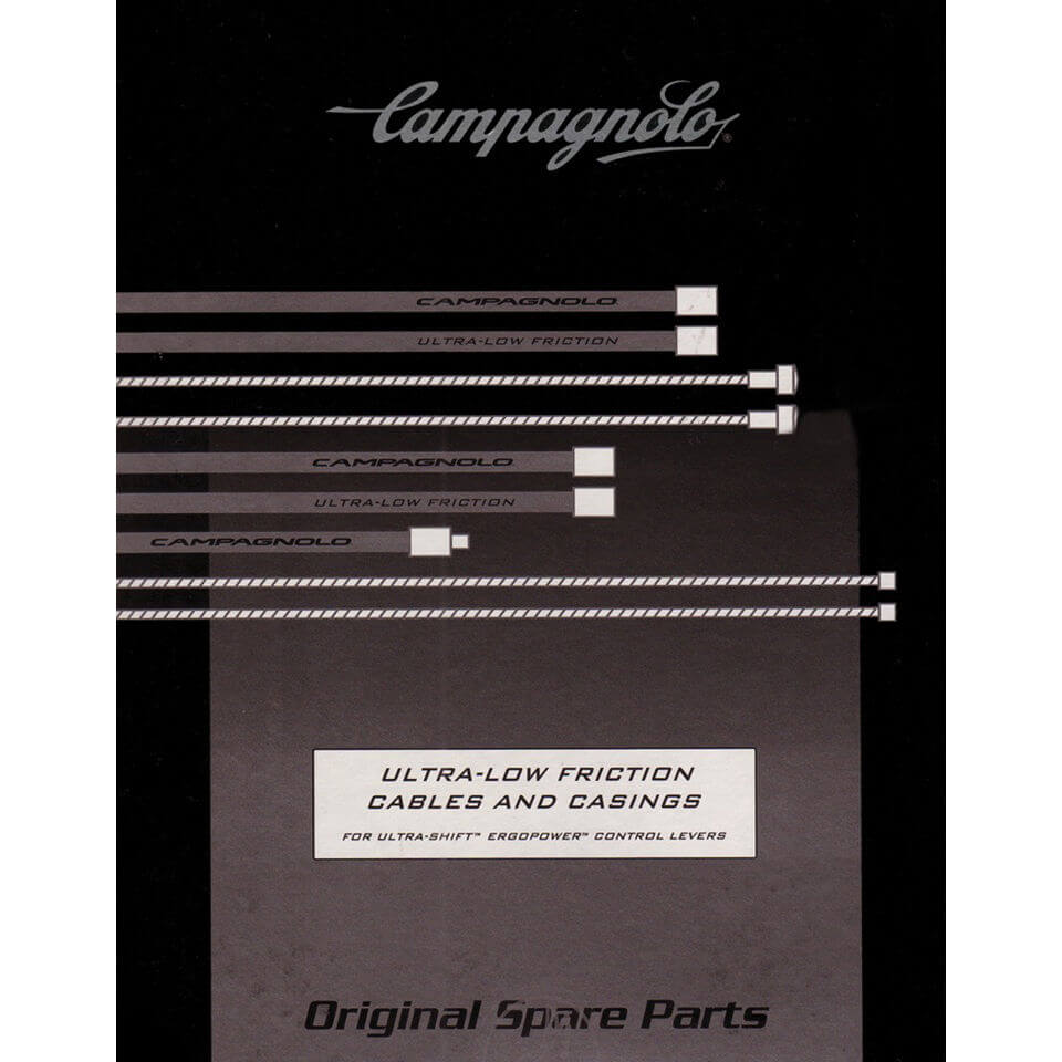 Campagnolo RECORD 00-07 Brake Cable & Anchor Bolt Assembly BR-RE210