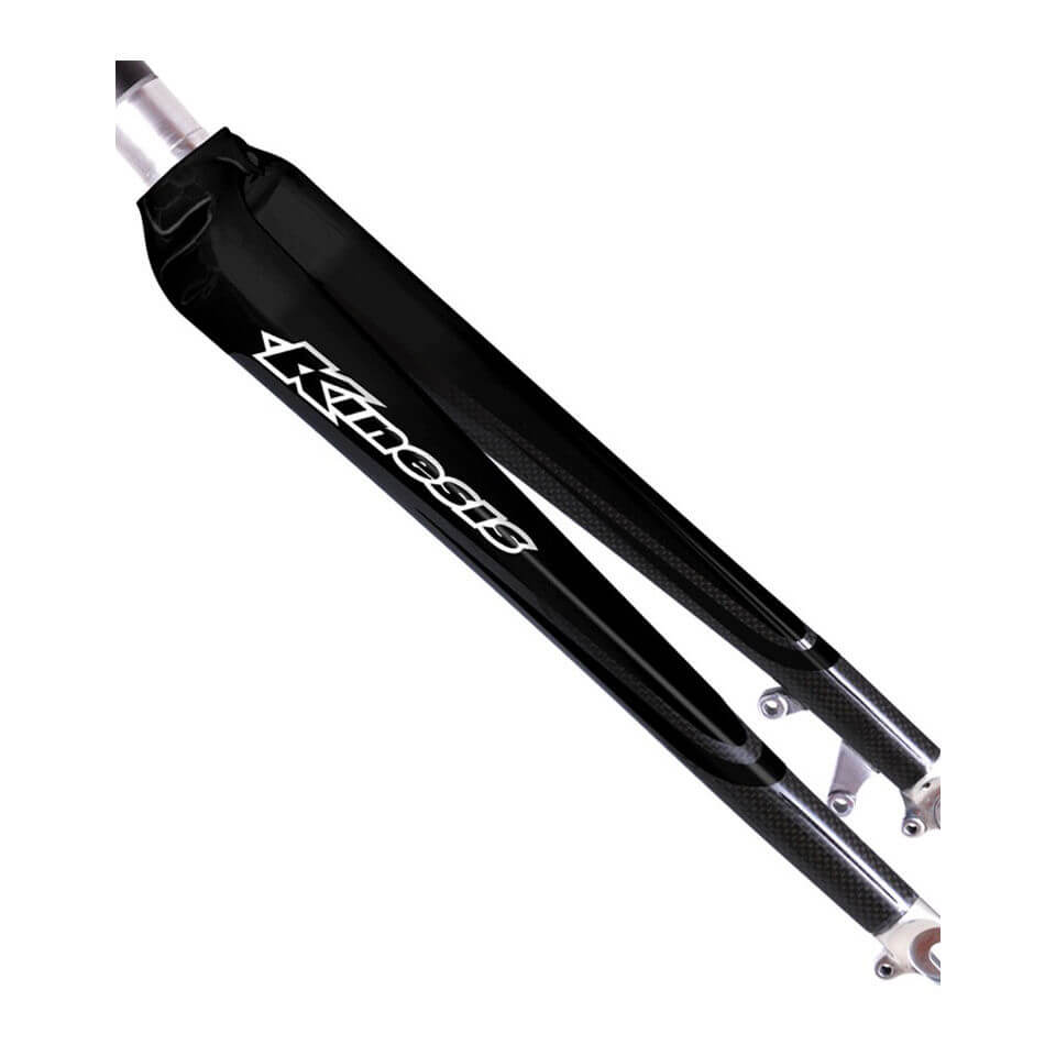 Kinesis carbon outlet fork