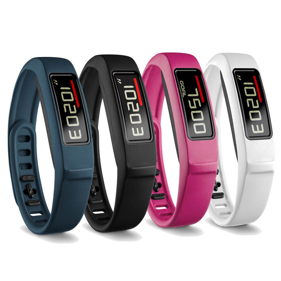 vivofit 2