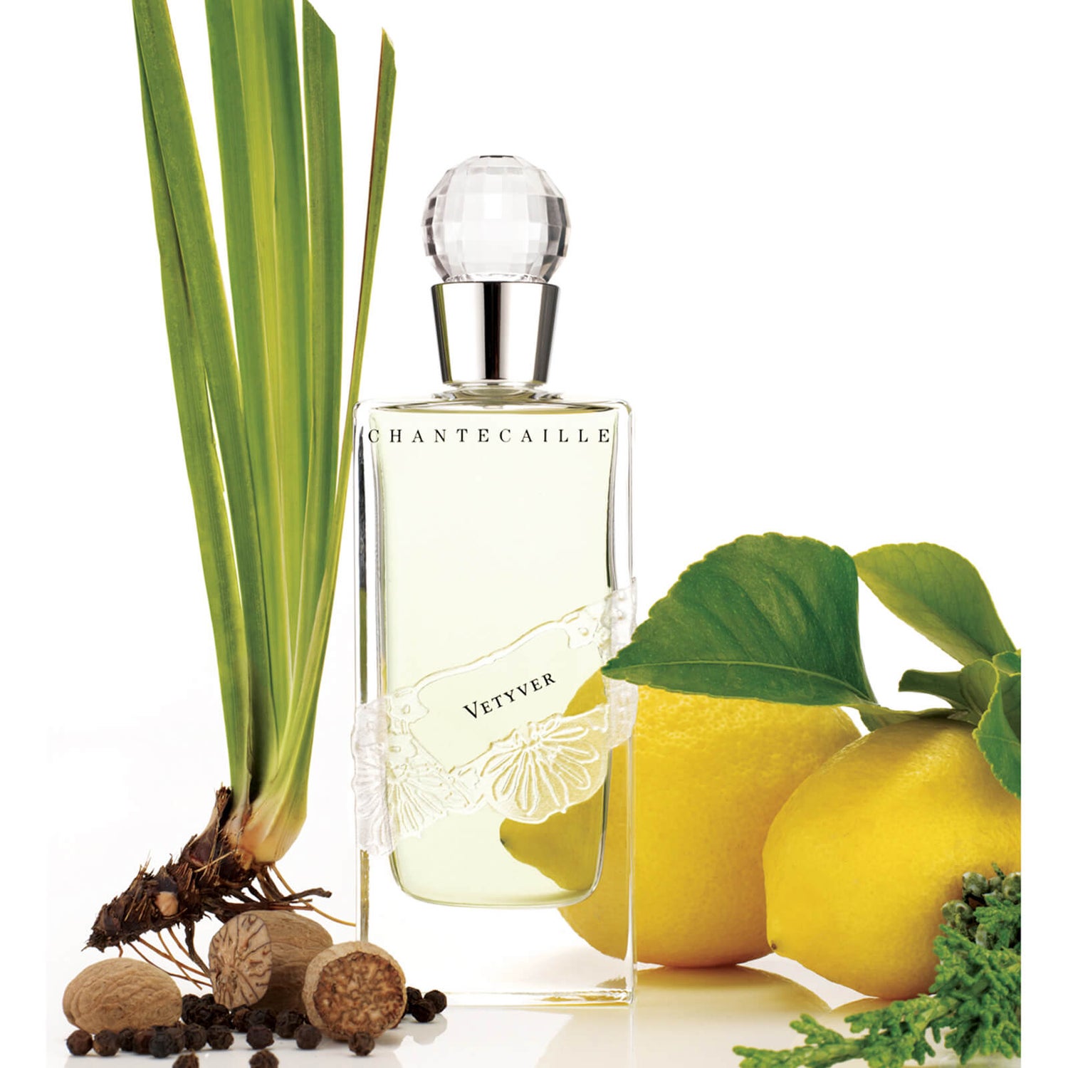 Chantecaille new arrivals vetyver cedre