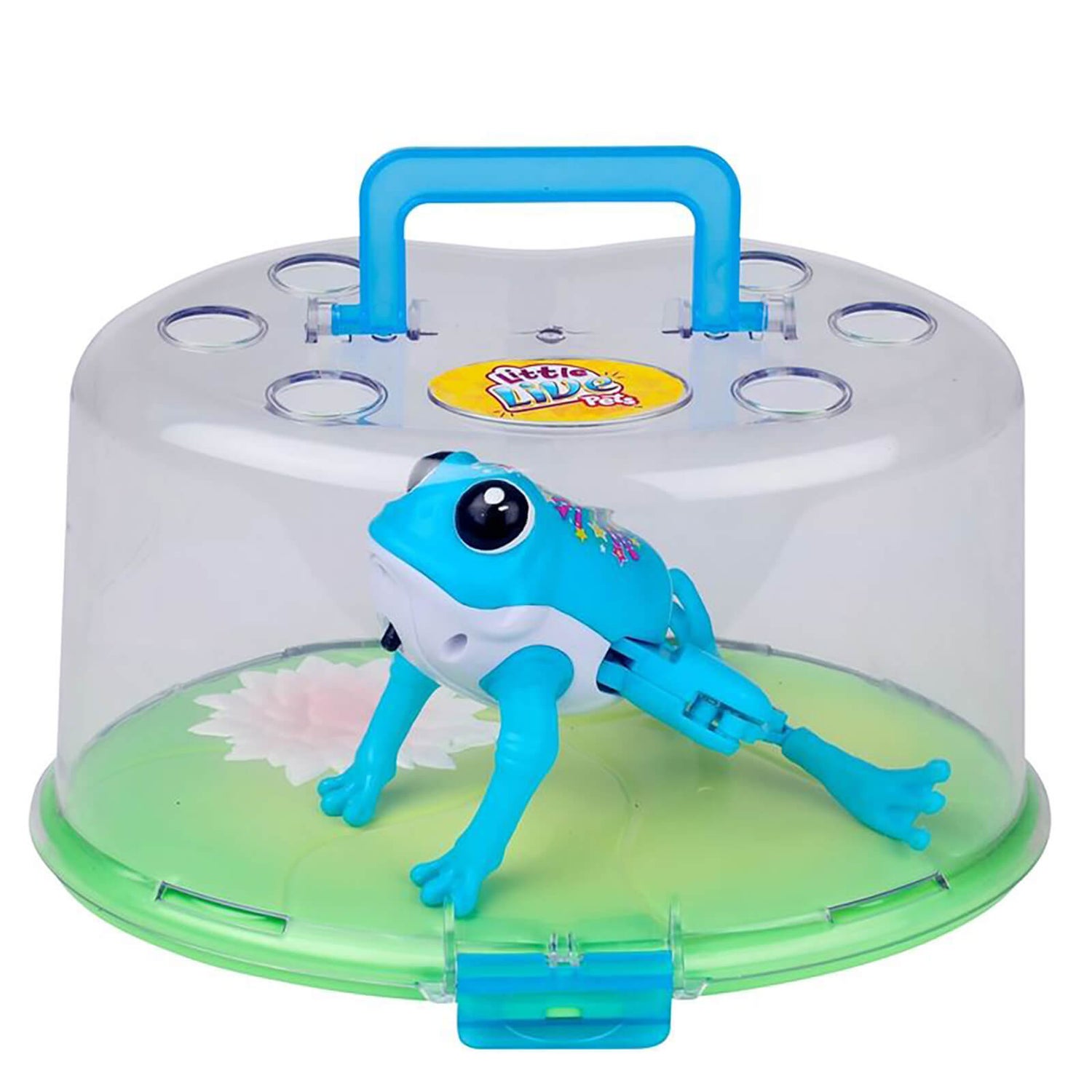 Little live pets online lil frog