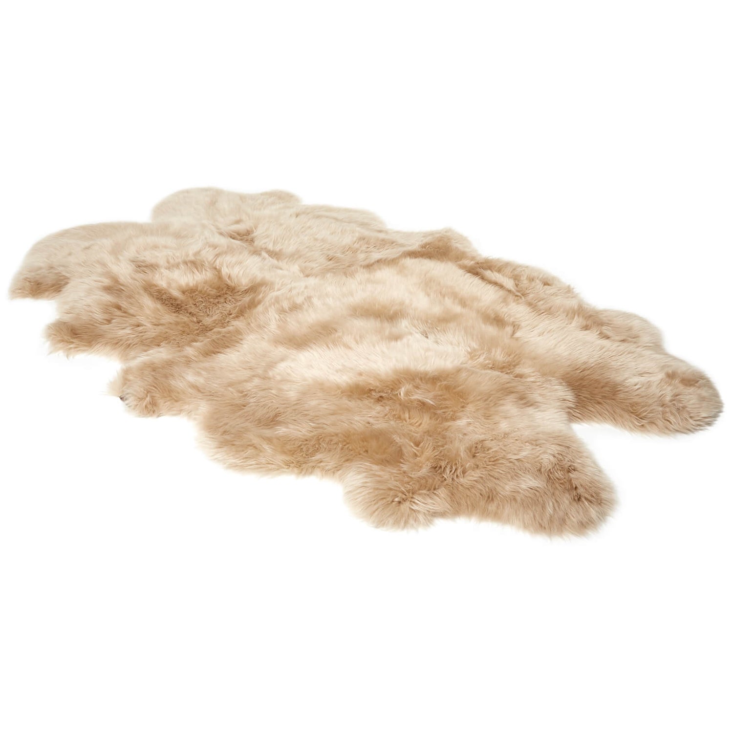 Ugg shop area rug