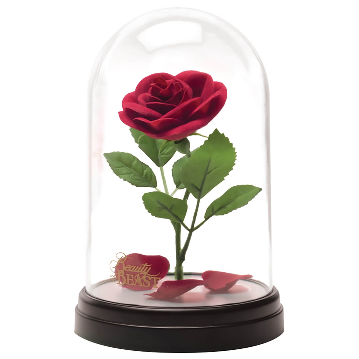 Original beauty and the beast rose new arrivals