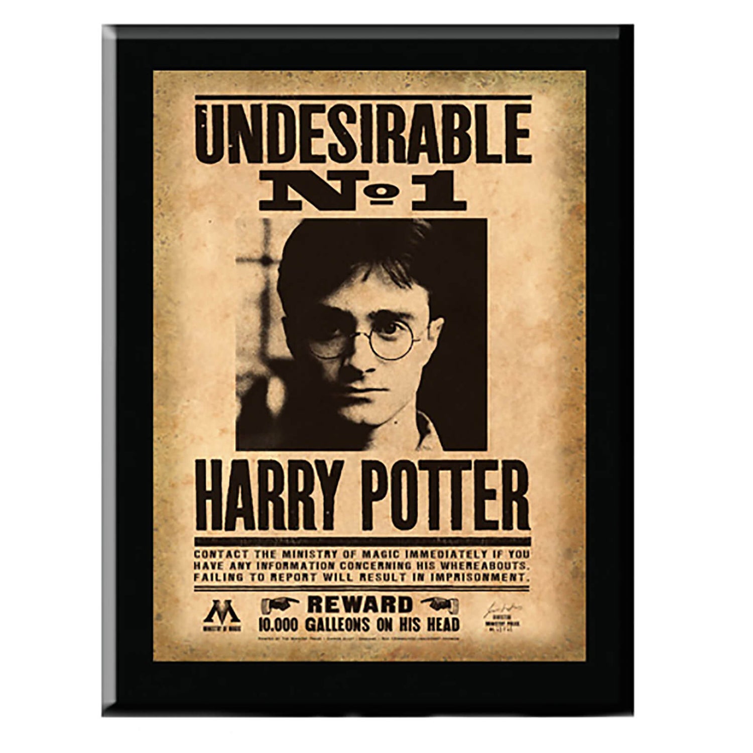 Harry Potter Harry Potter Undesirable No. 1 Plaque Merchandise