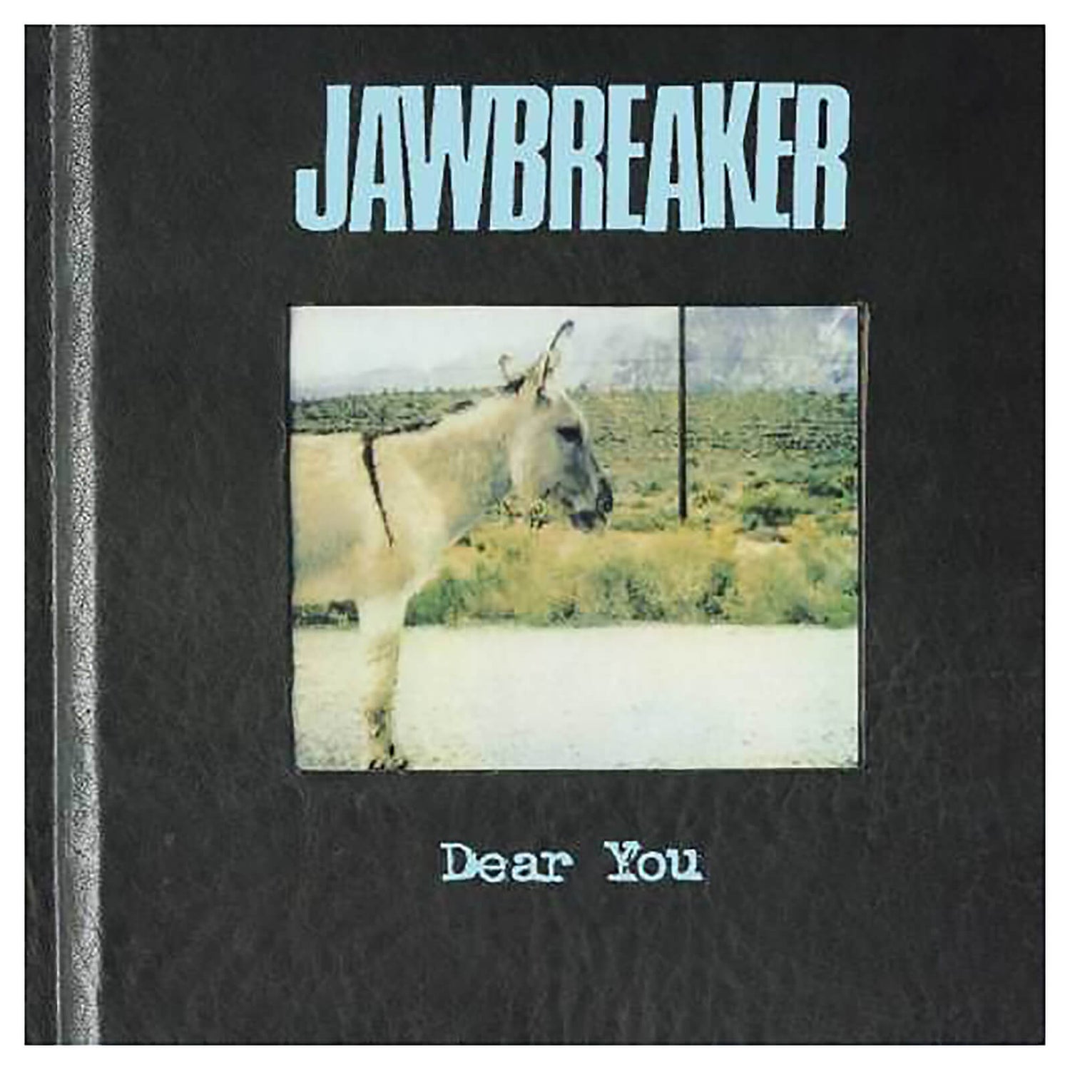 Jawbreaker - Dear You - Vinyl Merchandise - Zavvi US